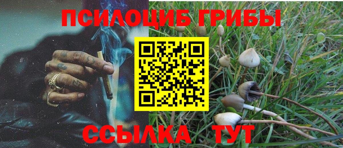 Галлюциногенные грибы Magic Shrooms Уфа