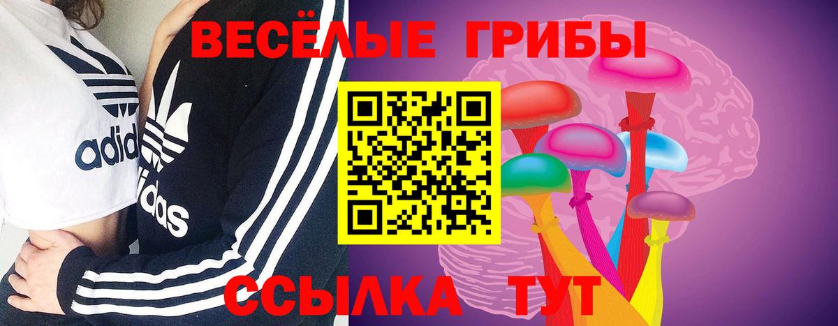 Уфа  цена   Вход с VPN  Псилоцибиновые грибы Psilocybine cubensis 